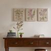 Linen Botanicals Illustration 3-piece Canvas Wall Art Set