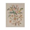 Linen Botanicals Illustration 3-piece Canvas Wall Art Set