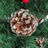 6ft Christmas Tree Artificial Full Xmas Trees,Green, for Holiday,Home,Office,Party Decoration,750 Branch Tips Metal Hinges & Foldable Base