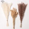 Dried Flowers Pampas Grass Mixed Bunny Rabbit Tail Lagurus Bouquet Wedding Christmas Decoration Natural Reed Flower Home Decora